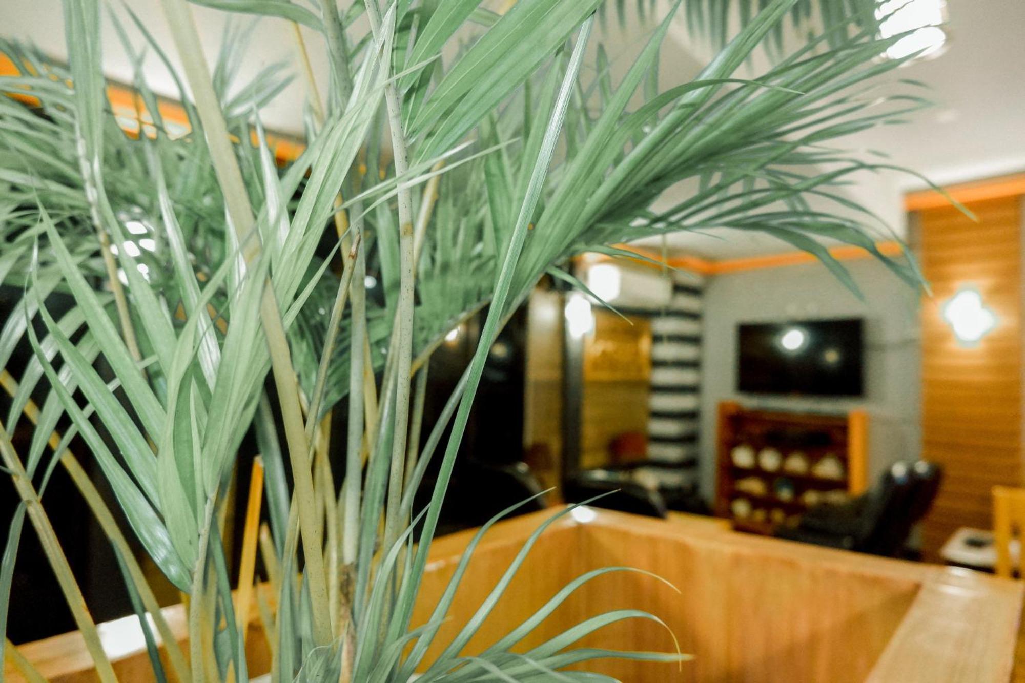 Casi Verde Guest House Panglao Εξωτερικό φωτογραφία
