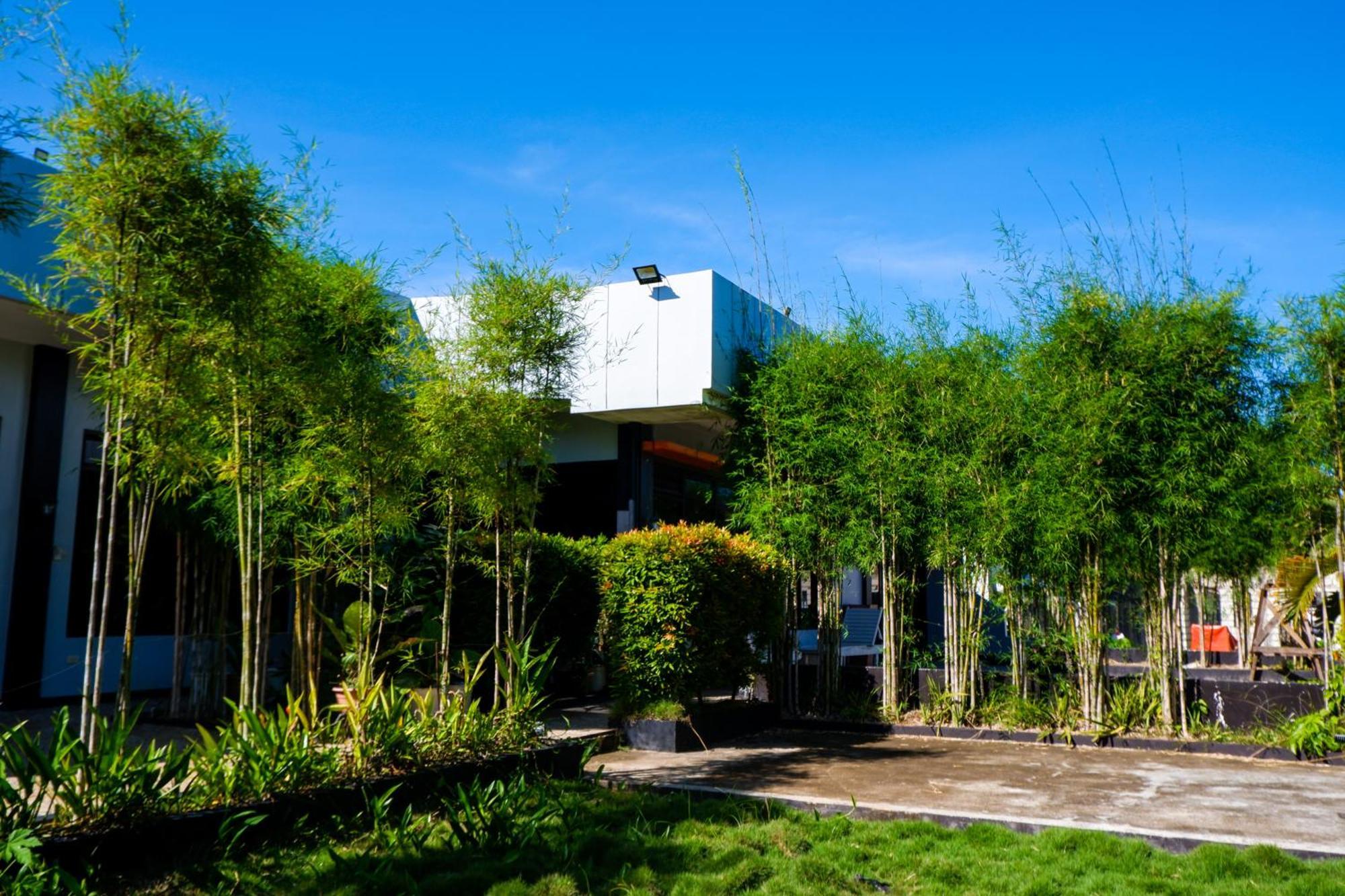 Casi Verde Guest House Panglao Εξωτερικό φωτογραφία