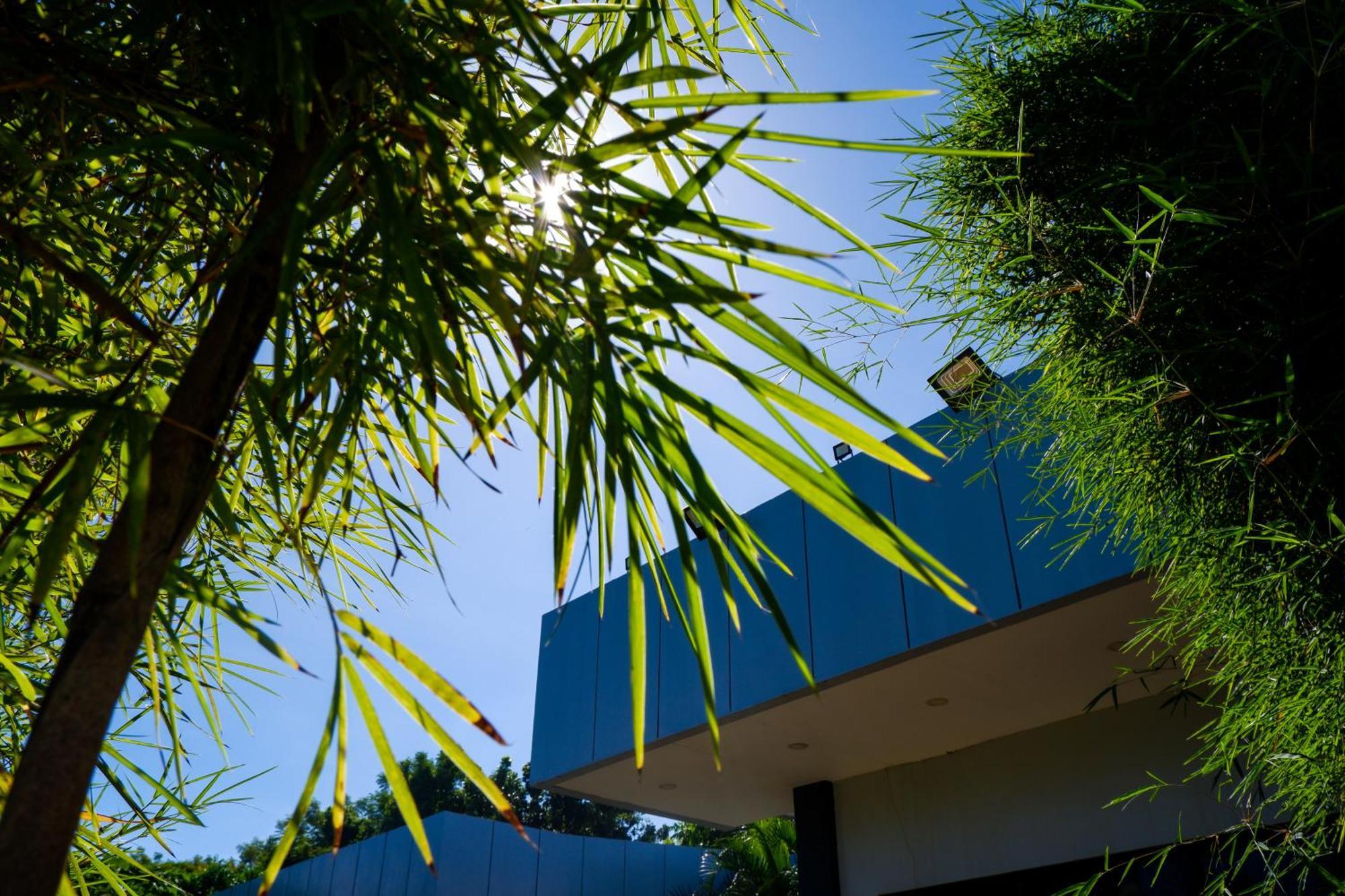 Casi Verde Guest House Panglao Εξωτερικό φωτογραφία